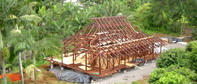 Indonesia Tropical timber